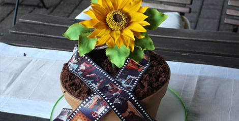 7-sachen-torten-vegan