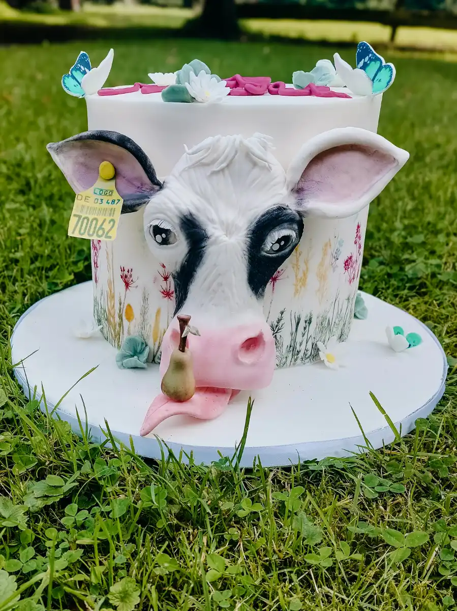 Nahaufnahme Kuh-Kopf-Torte Detailaufnahme einer Geburtstagstorte als Kuh-Kopf: Die modellierte Kuh streckt die Zunge heraus, auf der eine Birne liegt.